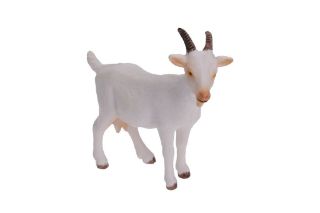 Obrázek z Koza 8cm 